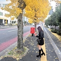 ピックアップキャスト れい Lounge ONE・ワン - 広島市(流川)のキャバクラ