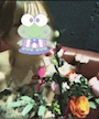 ゆず