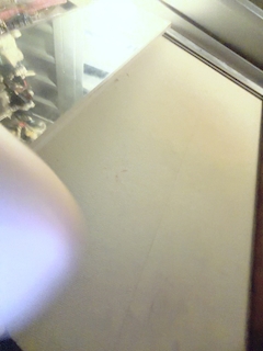 最近ブログを始めた女の子