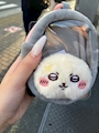 chiko