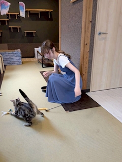 すみれ
