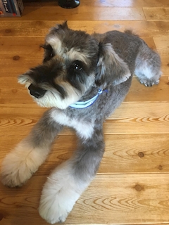 プロフィール写真2・🍅不思議生命体 リク🍅【Girls Land上野】｜