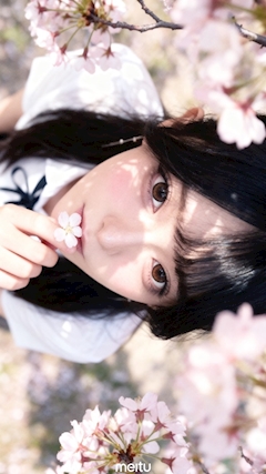 もしも僕が天才だったなら