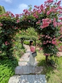 新着ブログ しゅっ🦋.*˚