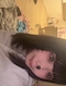 プロフィール写真1・じゅり｜girl's bar MILK・ミルク - 富士 吉原のガールズバー