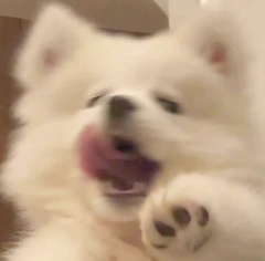 プロフィール写真1・内勤🐶｜Bar AFFINITY・アフィニティ - 田町のガールズバー