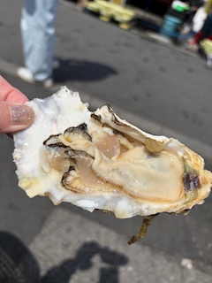 菜々「弾丸茨城②」