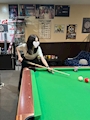 新着ブログ 8/4🎱人生初のビリヤード🎱