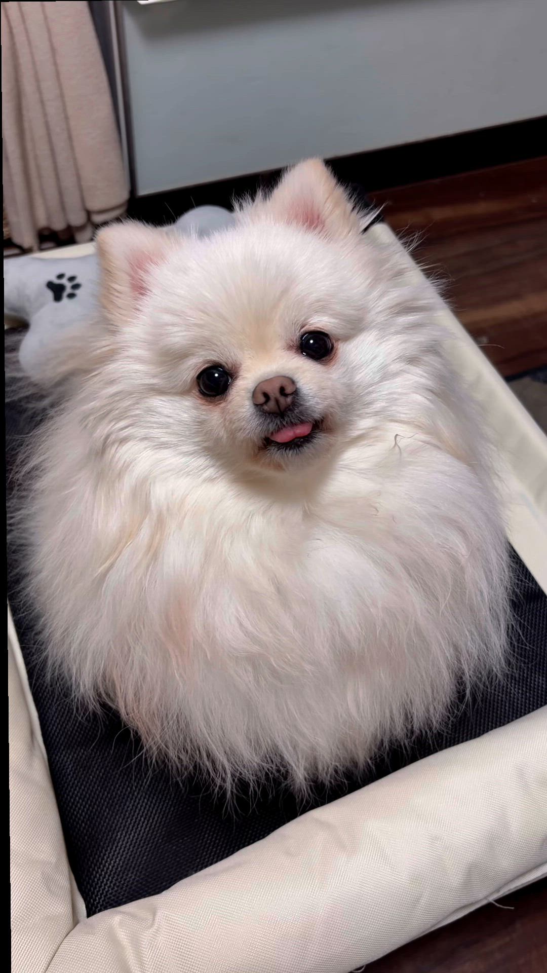 最近ブログを始めた女の子