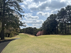 プロフィール写真5・🌸🌸さくら🌸🌸｜Day Globe・デイ グローブ - 上野・湯島の朝・昼キャバ