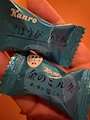 chiko