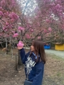 新着ブログ 🌸