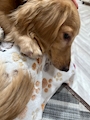 新着ブログ ♡0502♡