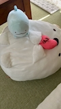chiko