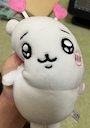 chiko