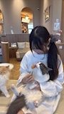 つばき Girls Lounge STELLA 名古屋錦店・ステラ - 名古屋 錦のガールズバー
