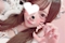 プロフィール写真2・ゆん｜もふもふ - 名古屋 栄のコンカフェ