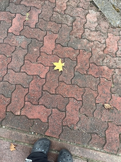 れもん