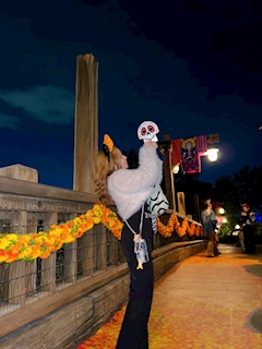 プロフィール写真1・まい｜CLUB ACE morning・エース - 渋谷の朝・昼キャバ