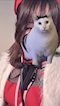 プロフィール写真3・りんか|神戸Nightクリニック - 三宮のガールズバー