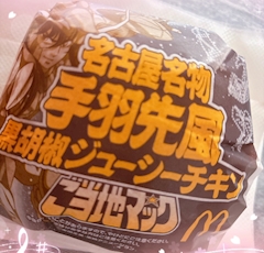 ✨未来✨