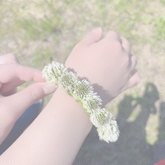 さき