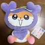 chiko