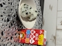新着ブログ 出勤してます🌟どよ