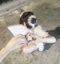 プロフィール写真1・ゆい|Teddy&Co・テディアンドコー - 西船橋のガールズバー