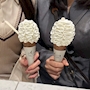 新着ブログ 🍨
