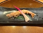 新着ブログ ebi