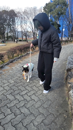 プロフィール写真15・🦋蘭🦋|le curu・ルクル - 久米川のキャバクラ