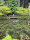 プロフィール写真6・🦋蘭🦋|le curu・ルクル - 久米川のキャバクラ
