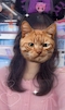 プロフィール写真5・かなの｜le curu・ルクル - 久米川のキャバクラ