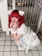 プロフィール写真4・𝟖 𝟔 🚗꒷˳☆|みっどないと - 国分町のコンカフェ