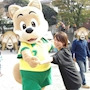 chiko