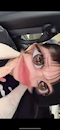 プロフィール写真2・ハヅキ|Girls Bar Betty・ベティ - 松戸のガールズバー