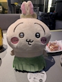 chiko