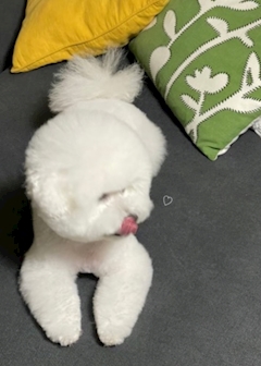 かれん