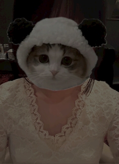 プロフィール写真1・まろ｜スナキャバ UTAGE・ウタゲ - 西宮のキャバクラ