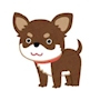 chiko