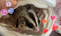 プロフィール写真30・吉澤 なつ|mrs.J 錦・ミセスジェイ ニシキ - 名古屋 錦の熟女パブ/熟女キャバクラ