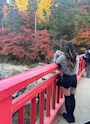 ひ な