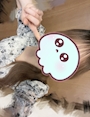 chiko