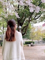 しおり