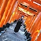 プロフィール写真2・れい|POLARIS・ポラリス - 近江八幡のラウンジ/クラブ