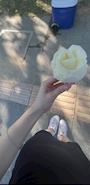 新着ブログ 08🌻