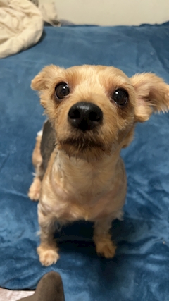 プロフィール写真1・yasuhara｜GARNET・ガーネット - 聖蹟桜ヶ丘のガールズバー