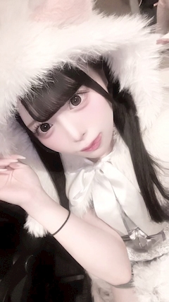 プロフィール写真3・めめ|Cafe&Bar Doll's Cafe・ドールズカフェ - 池袋西口のコンカフェ