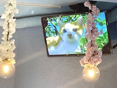 なな「5日目❕」